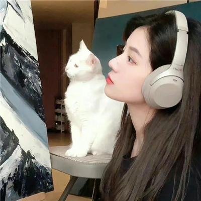 射月